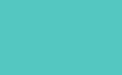 RGB color : 54c7c1, gif 