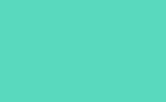 RGB color: 59d9be, gif 