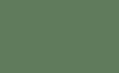 RGB color : 607b5c, gif 