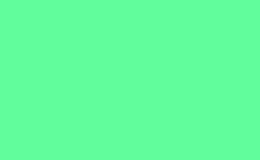 RGB color: 61fc9c, gif 