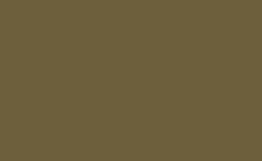 RGB color : 6e5f3c, gif 