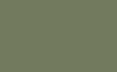 RGB color : 727a5e, gif 
