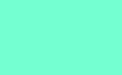 RGB 顏色: 74ffd0, gif 