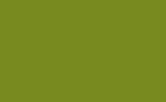 RGB color : 788a1f, gif 