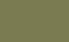 RGB 色: 797b51, gif 