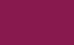 RGB farbe : 88194e, gif 