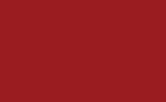 RGB color : 9a1c20, gif 