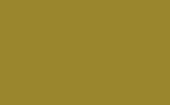 RGB farbe: 9a872d, gif 