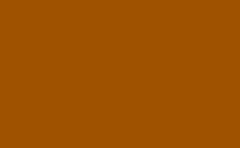 RGB 顏色: a05200, gif 