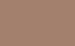 RGB 颜色: a27f6d, gif 