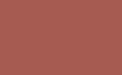 RGB 色: a65b51, gif 