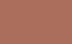 RGB 顏色 : aa6e5d, gif 