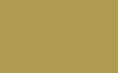 RGB 顏色: af9b51, gif 