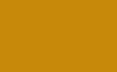 RGB color : c7890a, gif 