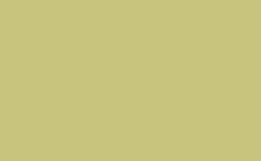 RGB 顏色: c8c47e, gif 