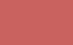 RGB farbe: c9625f, gif 