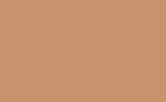 RGB 色 : c9916c, gif 