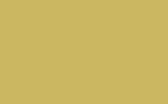 RGB farbe: cab861, gif 