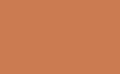 RGB color: cb7b51, gif 