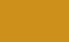 RGB 色: cd901b, gif 