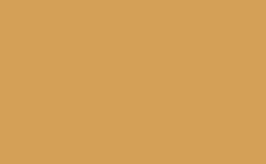 RGB color: d29f56, gif 