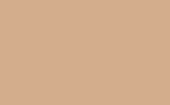 RGB 顏色 : d3ad8c, gif 