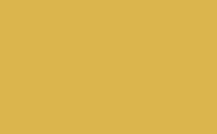 RGB 顏色: dbb54d, gif 