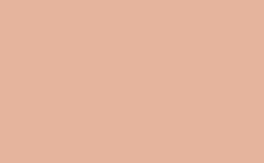 RGB color : e5b49d, gif 