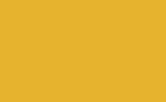 RGB 顏色 : e6b32e, gif 