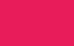 RGB farbe : e81c5a, gif 