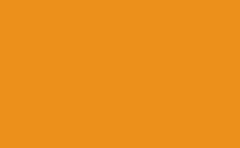 RGB color: ec901b, gif 