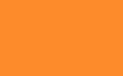 RGB 顏色: fd8b2c, gif 