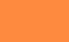 RGB 色 : fe8a3f, gif 