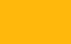 RGB 色: ffb80c, gif 