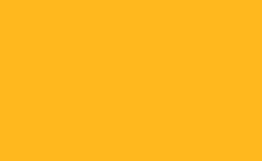 RGB 顏色: ffb81e, gif 