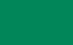 RGB color: 008659, jpg 