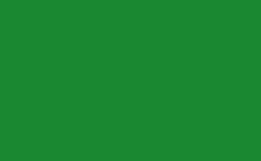 RGB color: 1a8731, jpg 