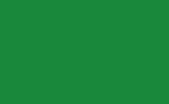 RGB 顏色: 1a883a, jpg 