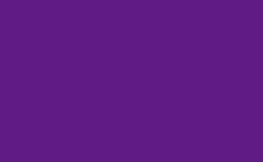 RGB color: 611b84, jpg 