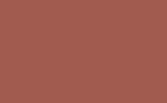 RGB 顏色: a15b51, jpg 