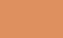 RGB color: de905f, jpg 