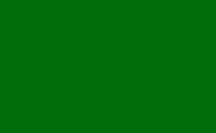RGB farbe: 006d0a, png 