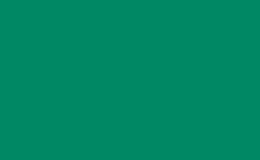 RGB 色: 008865, png 