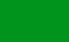 RGB 顏色: 00941d, png 