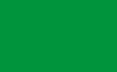 RGB 颜色: 00943d, png 