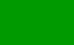 RGB farbe : 009a00, png 