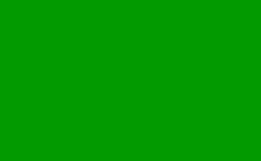 RGB farbe: 029a00, png 