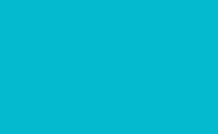 RGB couleur : 04bace, png 
