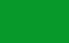RGB farbe: 079a28, png 