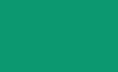 RGB 颜色: 0c9870, png 